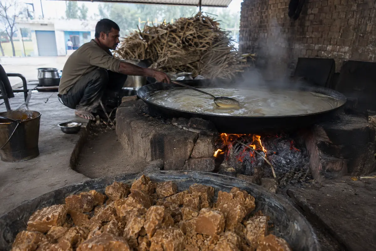 A worker skimming a wide iron pan of boiling sugarcane juice over a wood fire, with irregular lumps of set jaggery cooling in a tray beside it