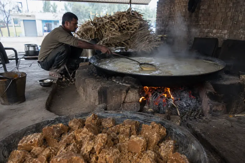 Before Panela: The Indian Origins of Cane Sugar