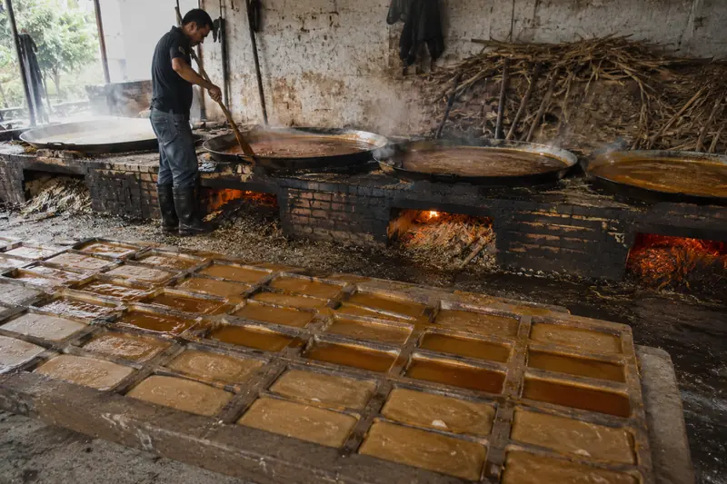 Blocks of panela setting in wooden moulds beside the copper pans and wood-fired furnace of a traditional cane mill in Santander, Colombia